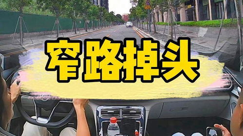 廣州汽車(chē)陪練新手上路陪駕陪練小白陪練 小白陪練